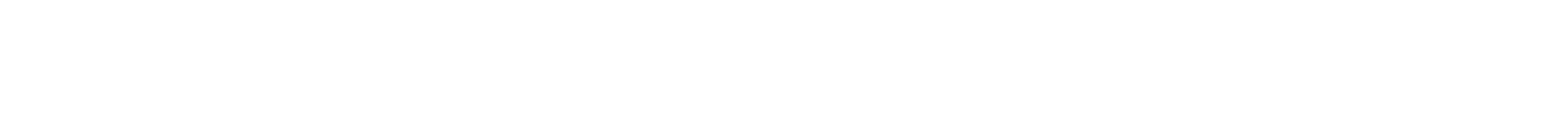 Vision Förderer